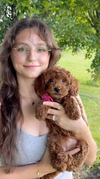 puppieshome